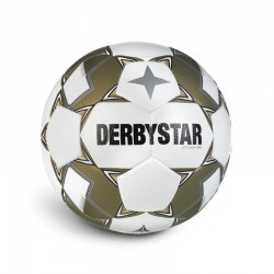  Derbystar Brillant APS v24